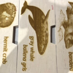 Example of laser engraving on maple hardwood laser engraving solid maple drawer faces